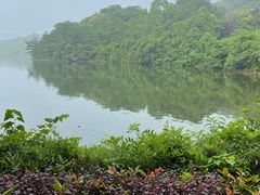 -天目湖涵田半山温泉