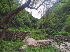 -黑龙潭风景区