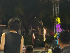 -渔家火锅·海鲜自助餐·演艺(亚龙湾天域酒店)