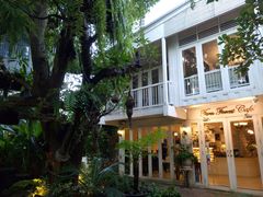 -Fern Forest Cafe
