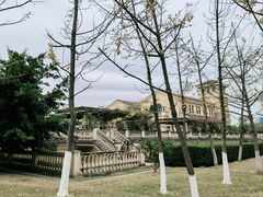 -府河摄影公园