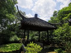 -上海醉白池公园