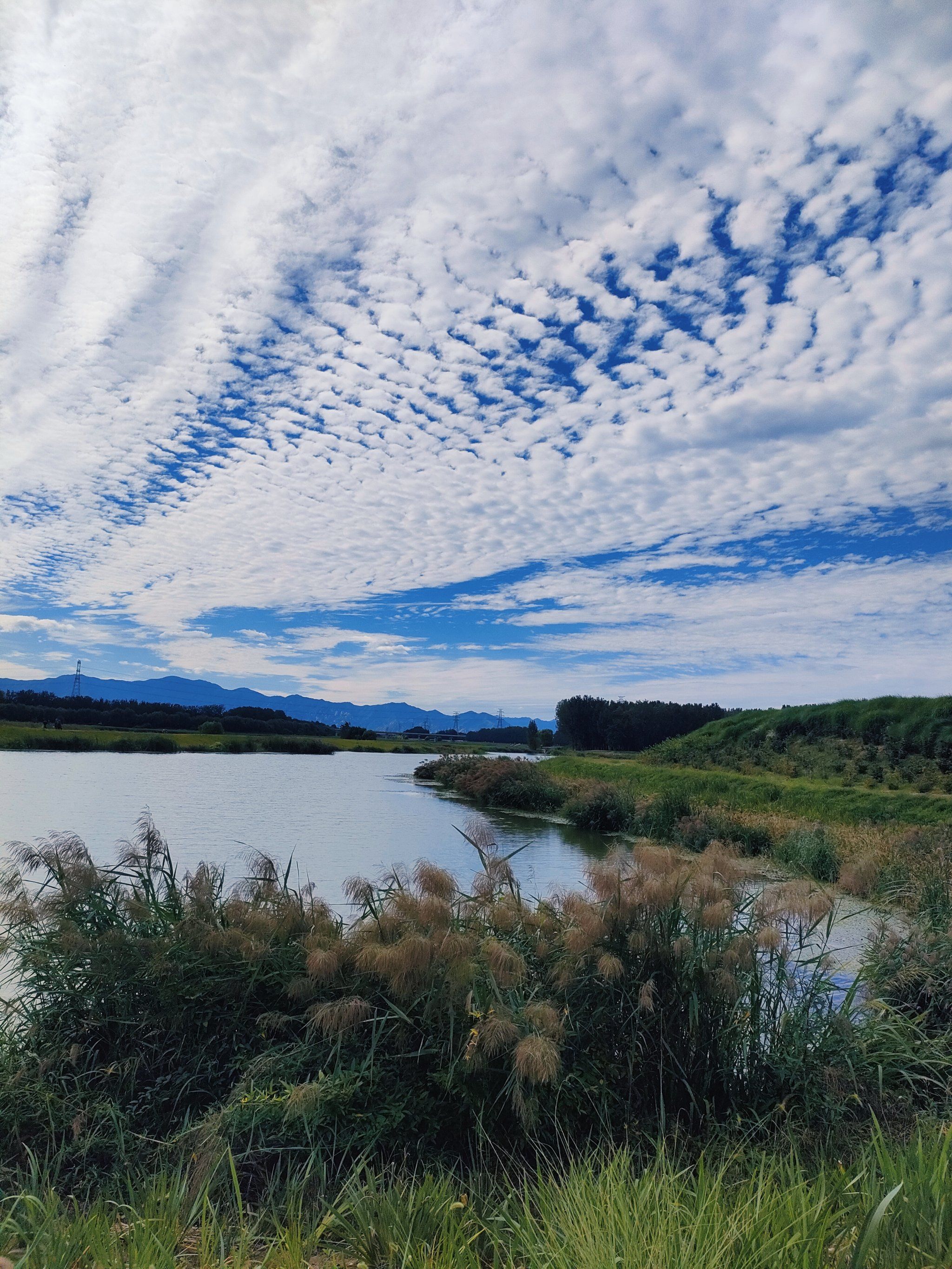 北京秋天一定要来一趟沙河水库享受这副绝美画卷
