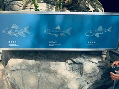 -大阪海游馆