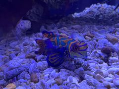 -郑州海洋馆