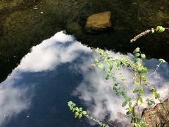 -白云源风景区