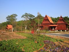 -东莞植物园