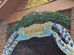 -西双版纳原始森林公园