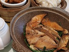 -金河半岛园林酒家(金融城店)