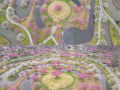 -花开海上生态园