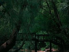-同里国家湿地公园