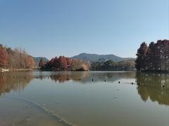 -浙江农林大学(东湖校区)