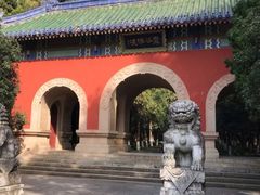 -灵谷景区