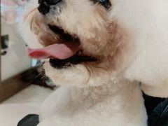 -FAELING PETS美天灵宠物(富力广场店)