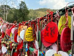 -西双版纳原始森林公园