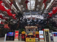 -新世纪绿洲(抚顺店)