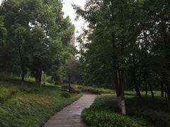 公园步道-重庆彩云湖湿地公园