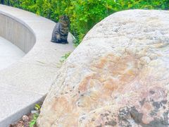 -国信南山温泉