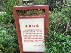 -英德宝晶宫天鹅湖茶语温泉