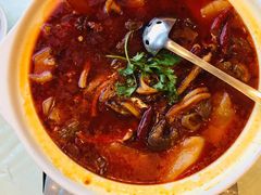 砂锅宽粉牛腩-亢龙太子酒轩(东湖店)