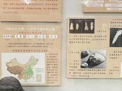 -北京中医药大学-中医药博物馆