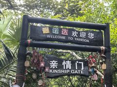 -呀诺达热带雨林