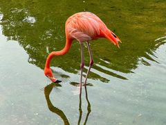 -常州淹城野生动物世界