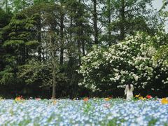-上海滨江森林公园