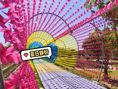 -广东花都香草世界旅游度假区