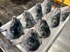 三文鱼-初色海鲜自助(万丰路店)