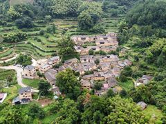 -杨家堂村