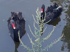 -清风小镇闯关东影视基地