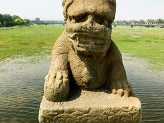 卢沟桥的狮子-卢沟桥文化旅游区