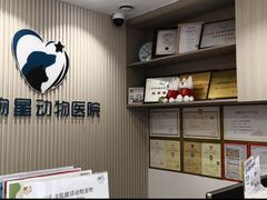 -宠物星动物医院·眼科·异宠·猫科(江南大道总院)