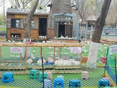 -长白岛森林公园