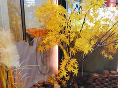 -潮正和潮汕牛肉火锅·老字号(番禺万达店)