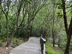 -紫金山山顶公园