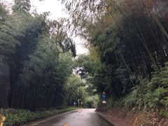 -广州市石门国家森林公园