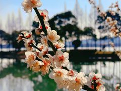 -石湖景区