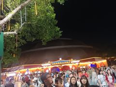 -广州长隆国际大马戏