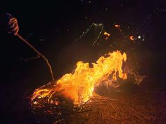 -春花秋色城市公园