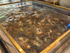 -半岛听涛蒸汽海鲜自助(K11店)