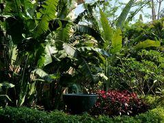 -西双版纳融创皇冠假日度假酒店