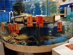 水产区-龙的酒楼·手工早茶·顺德菜(近良路店)