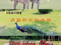 -广州长隆野生动物世界