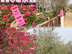 -盈香心动乐园