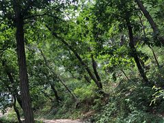 -北京上方山国家森林公园