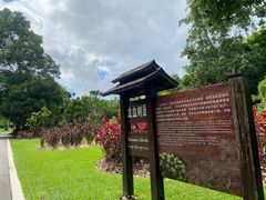 -中国科学院西双版纳热带植物园
