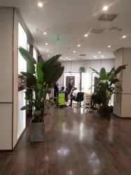 -崇尚GAVIN STYLE臻选