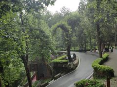 -莫干山风景区